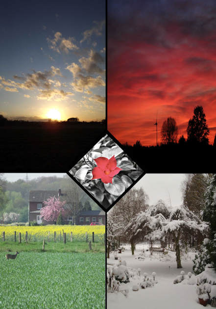 Bild einer Collage mit zentralem Strukturbrecher